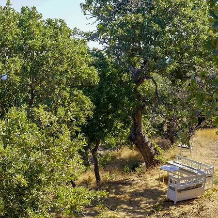 My Old Stone House In A 2 000 Sqm Private Garden With Fab Glamping Tent Mandrákion